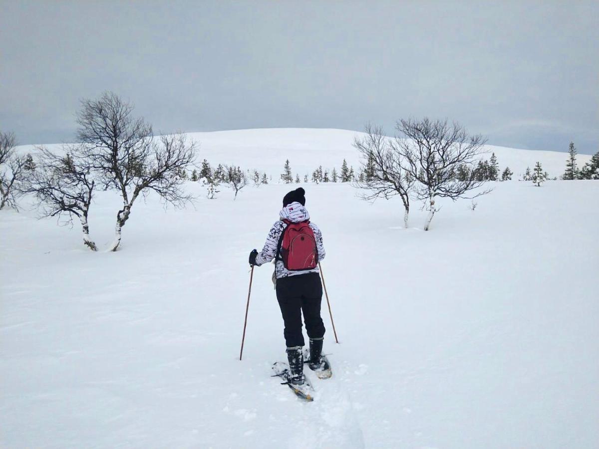 Ounasloma Holiday Cottages Enontekiö Exterior foto
